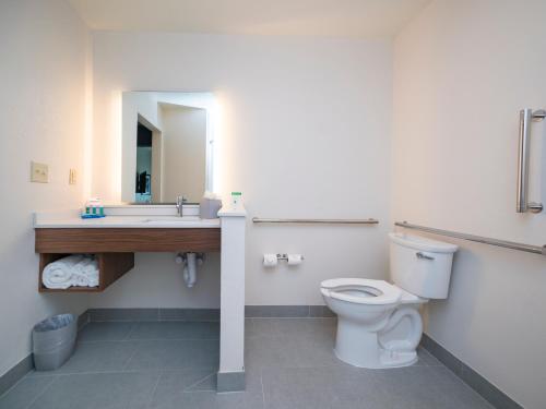 a bathroom with a toilet and a sink and a mirror at Holiday Inn Express & Suites - Southaven Central - Memphis by IHG in Southaven