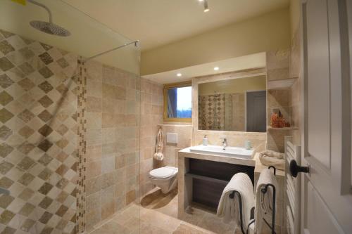 a bathroom with a toilet and a sink and a shower at Ancien Mas Du Moulin in Eygalières