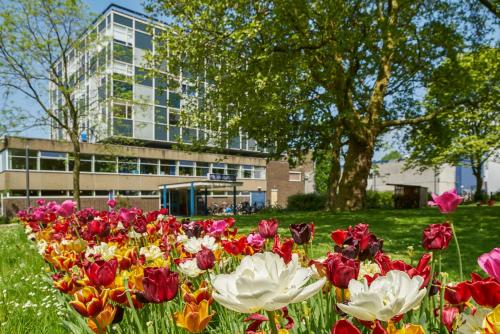 a field of flowers in front of a building at Pension Homeland in Amsterdam