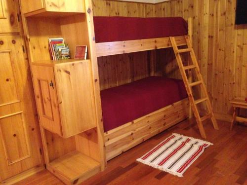 a bunk bed in a wooden room with a ladder at Mountain Charming Studio in Madesimo