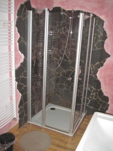 a shower with a glass door in a bathroom at Ferienwohnung Zum Landsknecht in Lissendorf