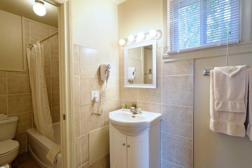a bathroom with a sink and a toilet and a mirror at Hotel Cap-aux-Pierres in L'Isle-aux-Coudres