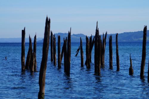 a group of wooden posts in the water at Cabañas Domos May-Ling in Ensenada