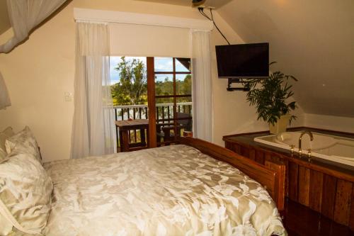 a bedroom with a bed and a tub and a television at Clarence River Bed & Breakfast in Grafton