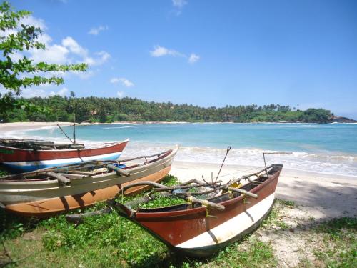 three boats sitting on the shore of a beach at Sea Port Hiriketiya in Hiriketiya