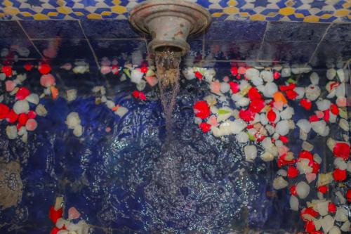 Gallery image of Riad Gzira Fez in Fès