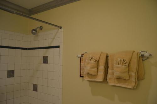 a bathroom with towels on a towel rack next to a shower at Frisco Lodge in Frisco