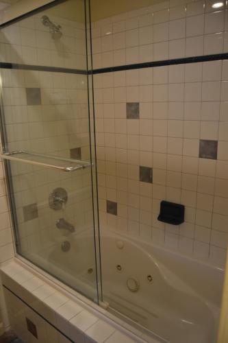 a shower with a glass door in a bathroom at Frisco Lodge in Frisco