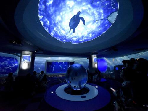 a room with an aquarium with a turtle in it at Sotetsu Fresa Inn Fujisawa Shonandai in Fujisawa