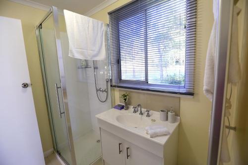 a bathroom with a sink and a shower at Riverwalk B&B in Robigana