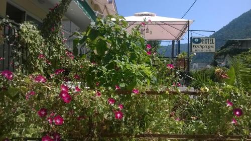 Φωτογραφία από το άλμπουμ του Ξενοδοχείο Νούφαρα στα Καμένα Βούρλα