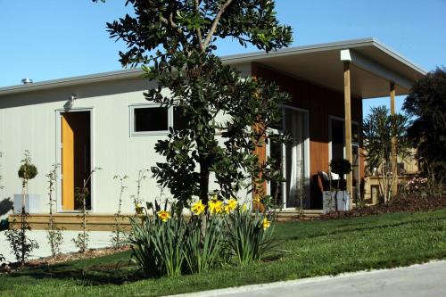 a house with yellow flowers in front of it at Aviator in New Plymouth