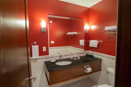 a bathroom with a sink and a mirror at Hume Hotel & Spa in Nelson