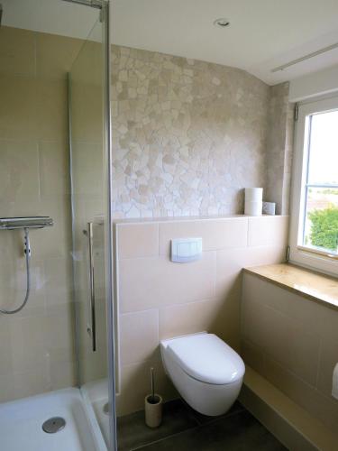 a bathroom with a toilet and a shower and a sink at Hotel Seeblick Garni in Plön