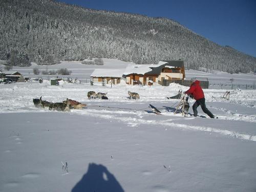 a person walking in the snow with a group of dogs at Gite Waykiu in Autrans