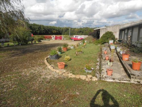 a garden with potted plants in a yard at Ferme les Rousseaux in La Belliole