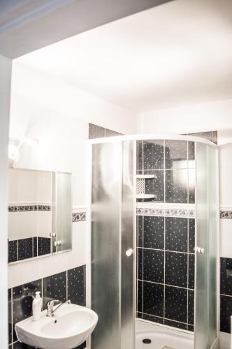 a bathroom with a shower and a sink at Penzion u Lupíků in Frýdlant nad Ostravicí