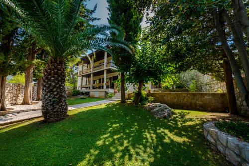 Gorgeous apartment Dora