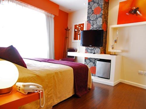 a hotel room with a bed and a tv at Los Muelles Boutique Hotel in Carmelo