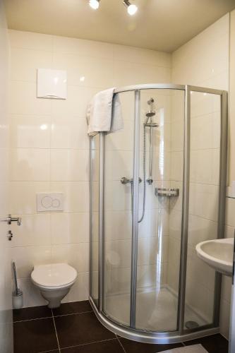 a bathroom with a shower and a toilet and a sink at Apart Belvita in Sankt Leonhard im Pitztal