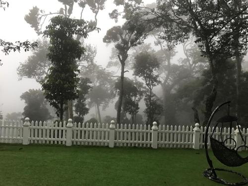 a white fence in a yard with trees in the fog at 31st December Farms And Estates Munnar in Munnar
