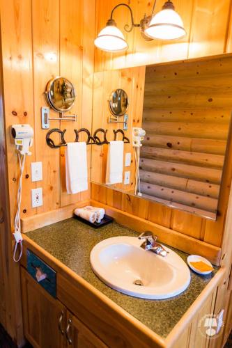 Bilik mandi di Cabin Creek Inn