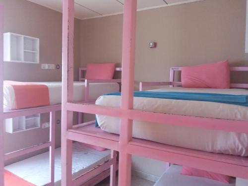 two bunk beds in a room with pink at Marine Hostel at Negombo Beach Near Airport in Negombo
