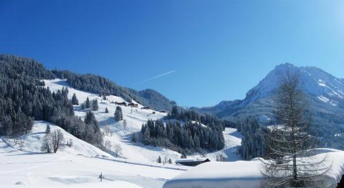 a snow covered mountain with trees and mountains at Familienhotel Botenwirt in Kleinarl
