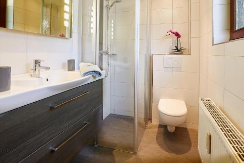 ダンガストにあるFerienwohnung Dangasteroaseのバスルーム(トイレ、洗面台、シャワー付)
