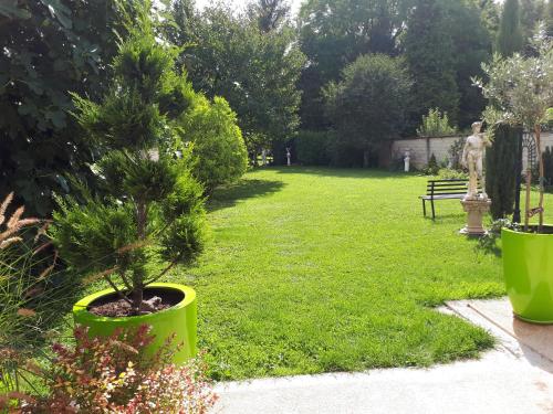 a small pine tree in a green pot in a yard at La CRAPOUNETTE in Pierry
