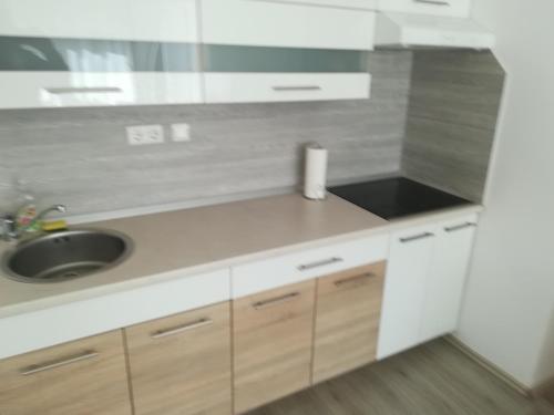 a kitchen with a sink and a counter top at Rooms LU&LA in Velika Gorica