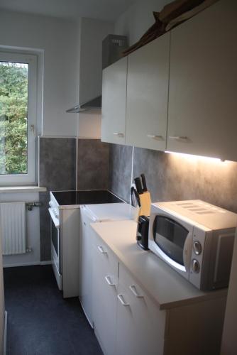 Η κουζίνα ή μικρή κουζίνα στο Apartmenthaus am Rennplatz