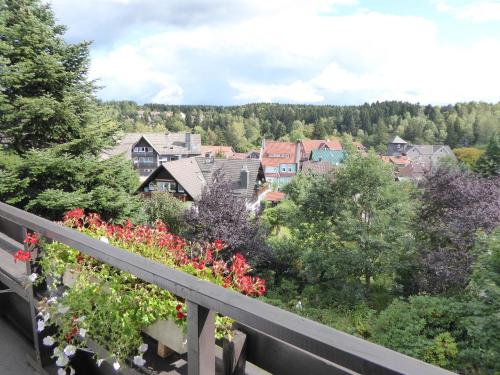 a view of a town from a balcony with flowers at Bremer Schlüssel in Braunlage