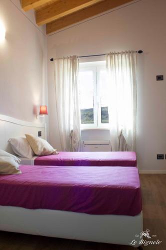 two beds in a bedroom with a window at Le Bignele in Marano di Valpolicella