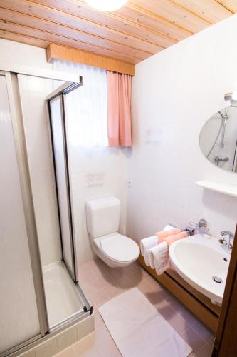 a bathroom with a toilet and a sink at Haus Vlcek in Nauders