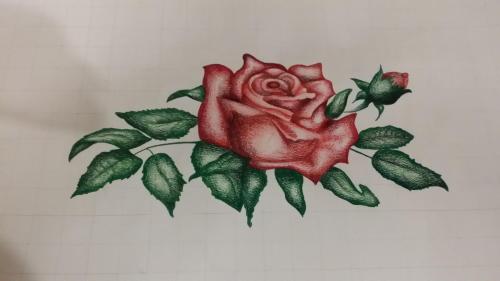 a drawing of a red rose on a wall at Guest House Park in Valmontone