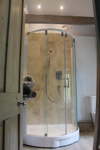 La salle de bains est pourvue d'une douche avec une porte en verre. dans l'établissement Sky Cottage, à Fowey