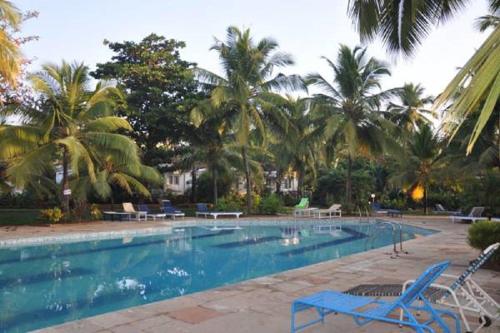 a swimming pool with blue chairs and palm trees at Villa La Casita in Cavelossim