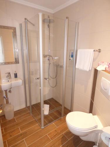 a bathroom with a shower and a toilet at Landhaus "Am Sonnenberg" in Diekholzen