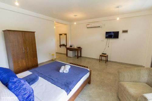 a bedroom with a bed and a couch and a television at Thomasz Lodge in Kandy