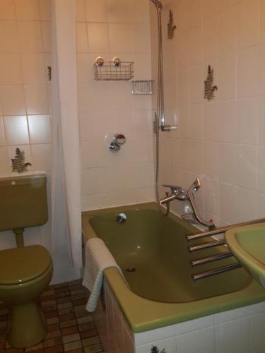 コンスタンツにあるAltstadtapartment Baumkroneのバスルーム(緑のバスタブ、トイレ付)