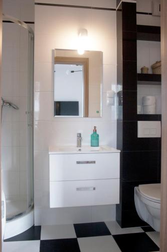 a bathroom with a sink and a toilet and a mirror at Kapart City in Rzeszów