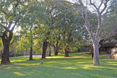 a park with trees and green grass and a field at Moholoholo Ya Mati in Kampersrus AH