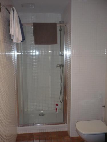 タラゴナにあるApartamento con Encanto Ferrersのバスルーム(ガラス張りのシャワー、トイレ付)