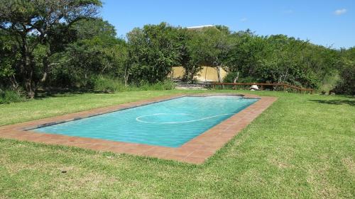 a small swimming pool in the middle of a yard at Moholoholo Mountain View in Hoedspruit