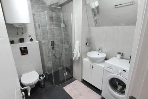 a bathroom with a shower sink and a washing machine at Blue Danube Apartment in Belgrade