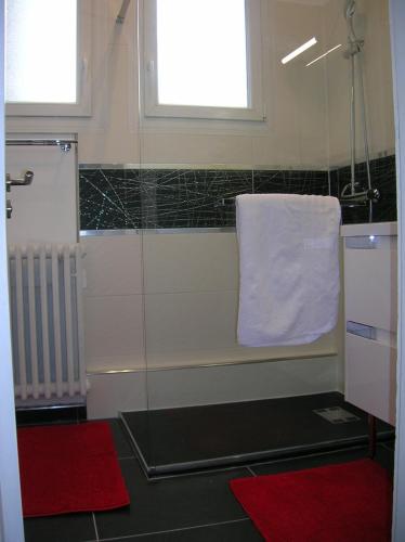 La salle de bains est pourvue d'une douche, d'une serviette blanche et d'un tapis rouge. dans l'établissement Gite Seine, à Rouen