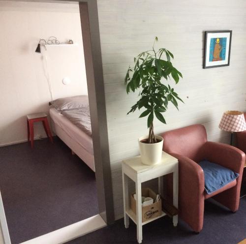 Bed and Breakfast De Mozaiektegel Uden في أودن: غرفة فيها زرع على طاولة وكرسي