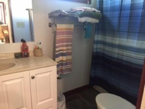 a bathroom with a shower and a toilet and a sink at Eycat Lodging Company Guest House in Wapiti