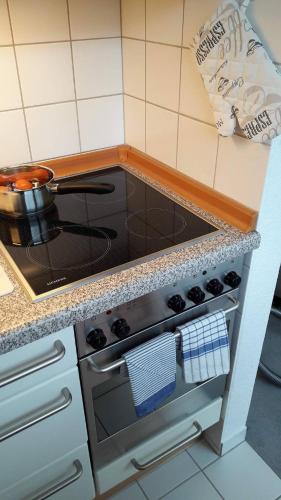 Cuisine ou kitchenette dans l'établissement Apartment Enzian